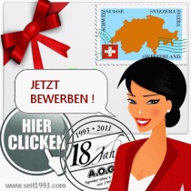 hausmeisterehepaar.ch